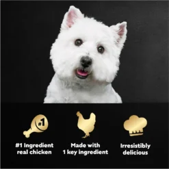 Cesar Simply Crafted Chicken Limited-Ingredient Wet Dog Food Topper -Pawsphoria Sales Store 141019 PT7. AC SS1800 V1695750310