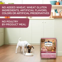 Rachael Ray Nutrish Little Bites Small Breed Real Chicken & Veggies Recipe Dry Dog Food -Pawsphoria Sales Store 142436 PT5. AC SS1800 V1657655543