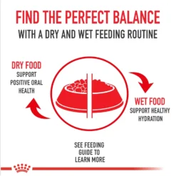 Royal Canin Breed Health Nutrition Shih Tzu Adult Loaf In Sauce Canned Dog Food -Pawsphoria Sales Store 142487 PT5. AC SS1800 V1696534944