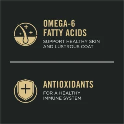 Purina Pro Plan Small Breed Adult Sensitive Skin & Stomach Formula Dry Dog Food 16 Purina Pro Plan Small Breed Adult Sensitive Skin & Stomach Formula Dry Dog Food -Pawsphoria Sales Store 142556 PT7. AC SS1800 V1700689658