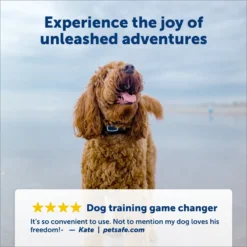 PetSafe Remote Trainer Dog Collar -Pawsphoria Sales Store 142861 PT3. AC SS1800 V1696886871
