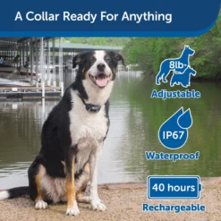 PetSafe Add-A-Dog Waterproof Extra Receiver Collar -Pawsphoria Sales Store 142869 PT2. AC SS1800 V1627324874