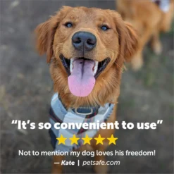 PetSafe Add-A-Dog Waterproof Extra Receiver Collar -Pawsphoria Sales Store 142869 PT7. AC SS1800 V1627325176