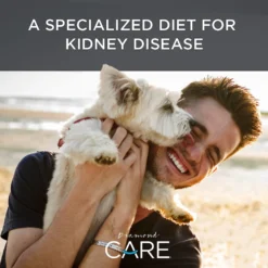 Diamond Care RX Renal Formula Adult Dry Dog Food -Pawsphoria Sales Store 143242 PT4. AC SS1800 V1587655602