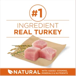 Purina ONE +Plus Adult High-Protein Healthy Weight Formula Dry Dog Food -Pawsphoria Sales Store 143260 PT3. AC SS1800 V1676319353