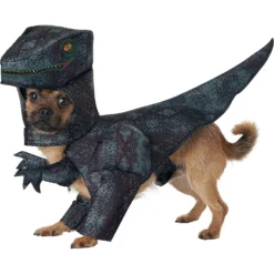 California Costumes Pupasaurus Rex Dog & Cat Costume