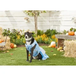 Rubie's Costume Company Cinderella Disney Princess Dog & Cat Costume -Pawsphoria Sales Store 144122 PT2. AC SS1800 V1569006192