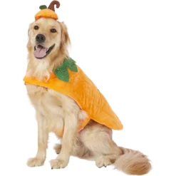Frisco Pumpkin Dog & Cat Costume 11 Frisco Pumpkin Dog & Cat Costume -Pawsphoria Sales Store 144446 PT2. AC SS1800 V1567174700
