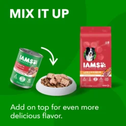 Iams Proactive Health Minichunks Small Kibble With Lamb & Rice Adult Dry Dog Food -Pawsphoria Sales Store 145143 PT8. AC SS1800 V1667864338