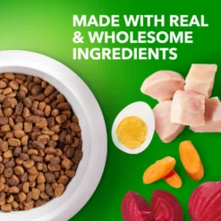 Iams Proactive Health Small & Toy Breed Puppy High Protein DHA Formula With Real Chicken Dry Dog Food -Pawsphoria Sales Store 145145 PT3. AC SS1800 V1668023610