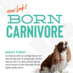 Tiki Dog Born Carnivore Savory Herring, Peas & Lentils, Baked Dry Dog Food -Pawsphoria Sales Store 145219 PT6. AC SS1800 V1701796325