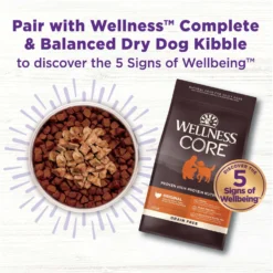 Wellness CORE Bowl Boosters Bare Turkey Freeze-Dried Dog Food Mixer Or Topper 11 Wellness CORE Bowl Boosters Bare Turkey Freeze-Dried Dog Food Mixer Or Topper -Pawsphoria Sales Store 145472 PT4. AC SS1800 V1703709317