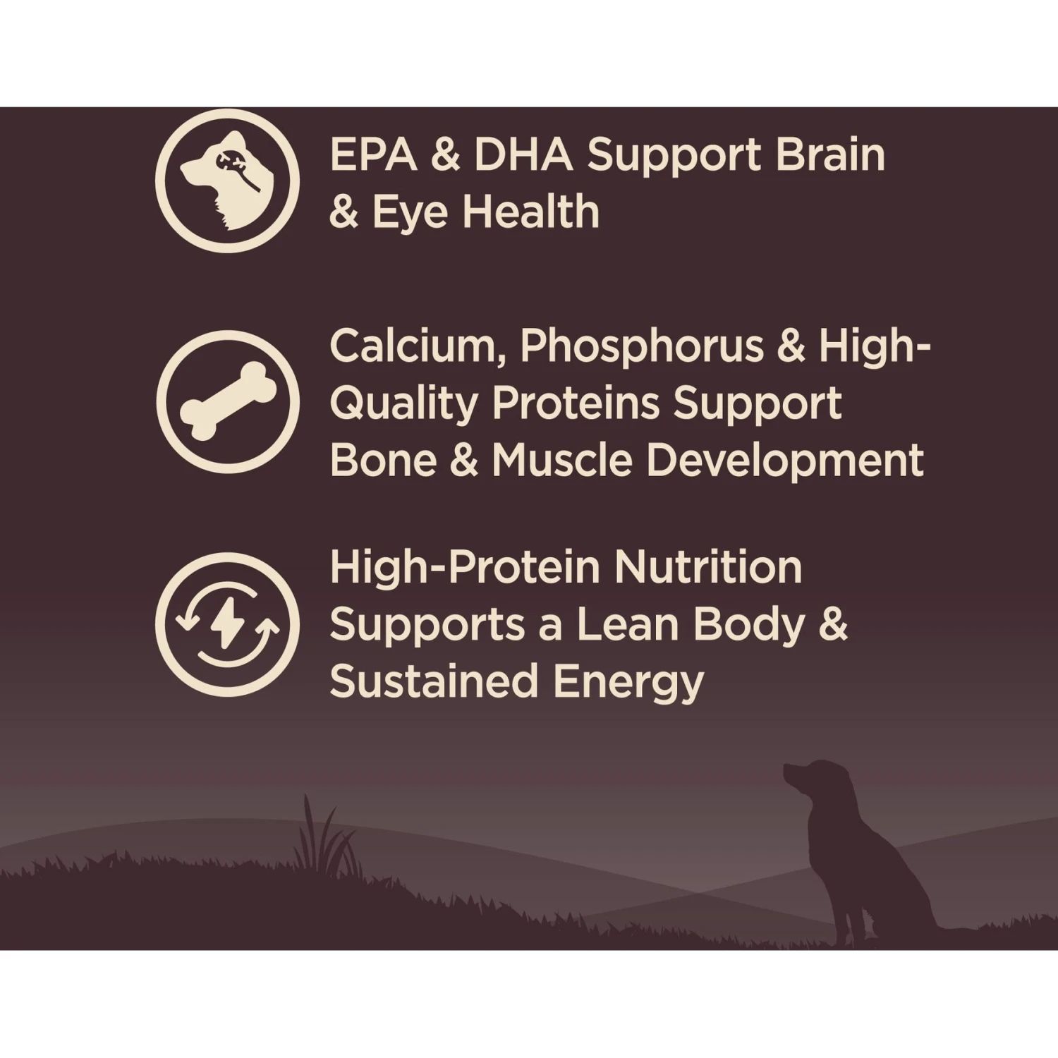 Wellness CORE Grain-Free Small Breed Puppy Deboned Turkey Recipe Dry Dog Food 3 Wellness CORE Grain-Free Small Breed Puppy Deboned Turkey Recipe Dry Dog Food - Image 3