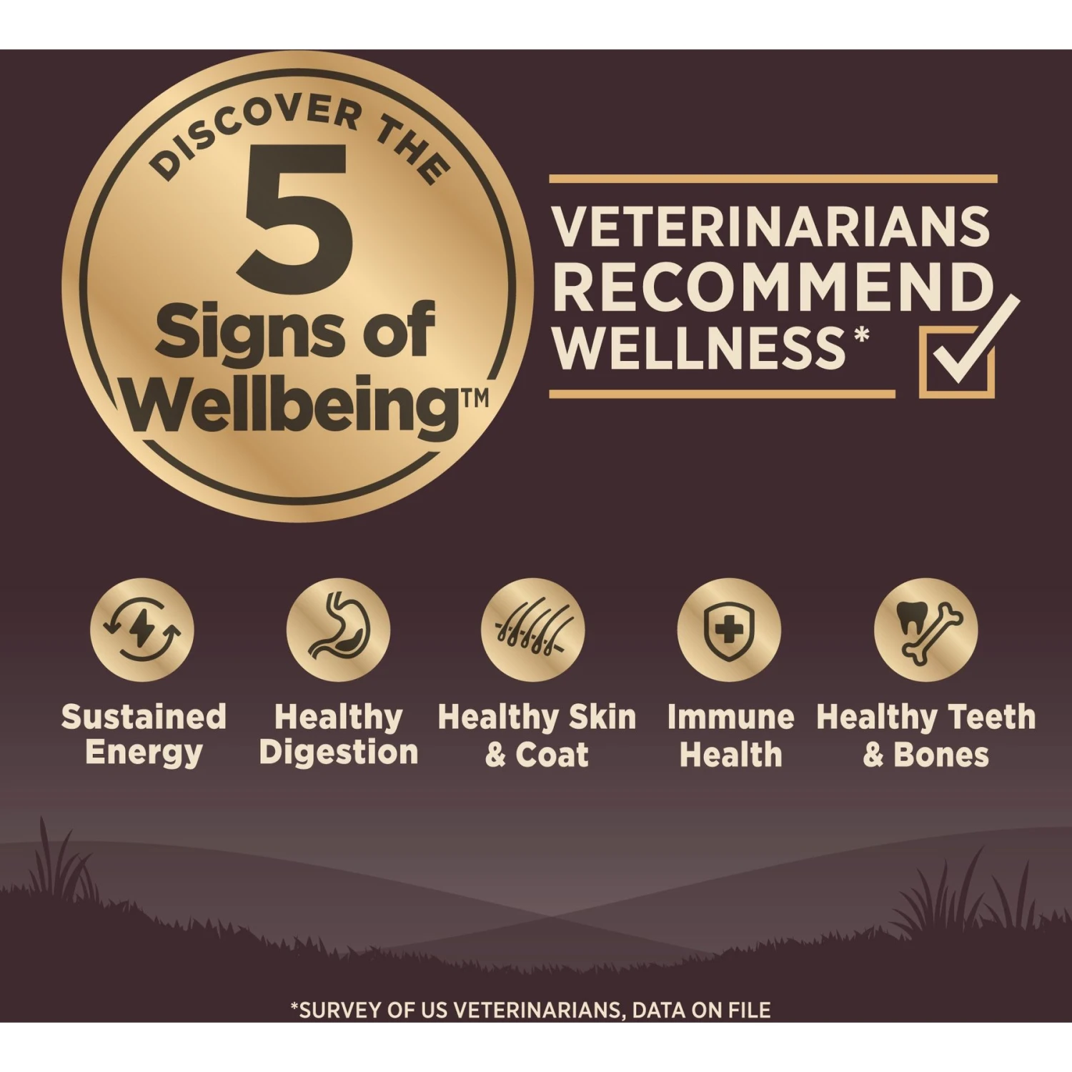 Wellness CORE Grain-Free Small Breed Puppy Deboned Turkey Recipe Dry Dog Food 4 Wellness CORE Grain-Free Small Breed Puppy Deboned Turkey Recipe Dry Dog Food - Image 4