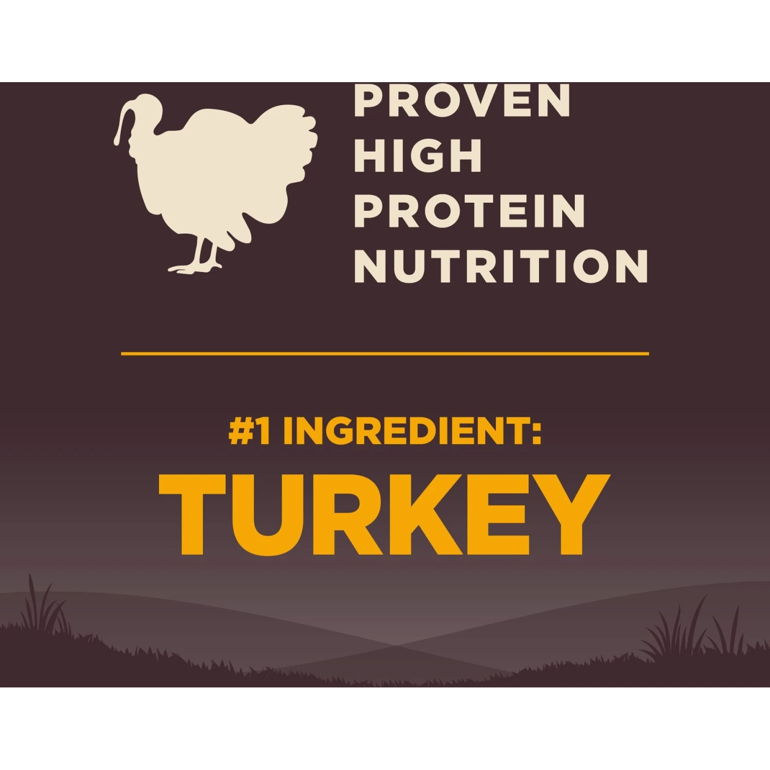 Wellness CORE Grain-Free Small Breed Puppy Deboned Turkey Recipe Dry Dog Food 5 Wellness CORE Grain-Free Small Breed Puppy Deboned Turkey Recipe Dry Dog Food - Image 5