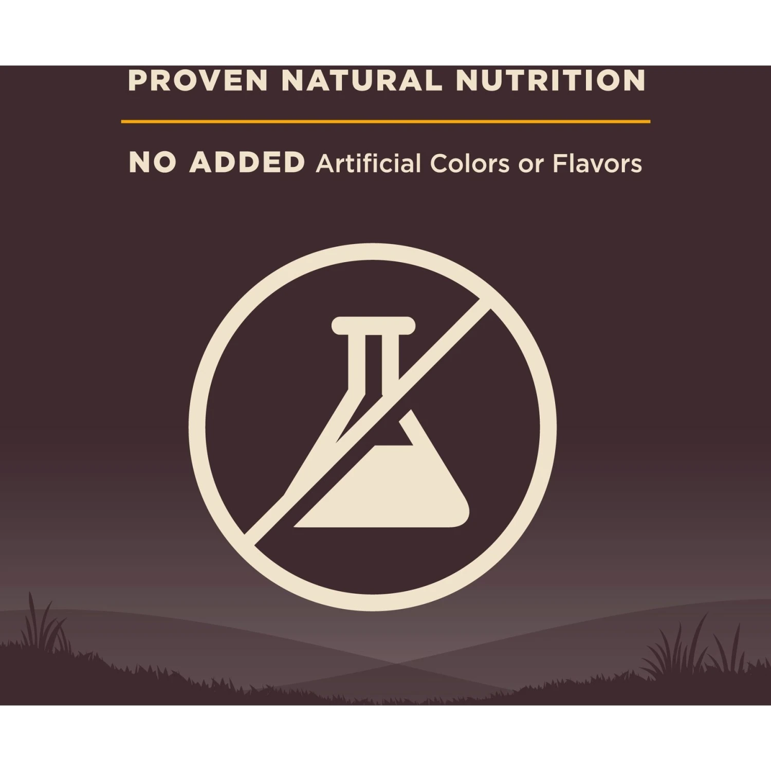 Wellness CORE Grain-Free Small Breed Puppy Deboned Turkey Recipe Dry Dog Food 6 Wellness CORE Grain-Free Small Breed Puppy Deboned Turkey Recipe Dry Dog Food - Image 6