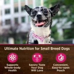 Wellness CORE Grain-Free Small Breed Mini Meals Chunky Chicken & Tuna In Gravy Dog Food Pouches -Pawsphoria Sales Store 145508 PT2. AC SS1800 V1611776233
