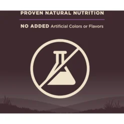 Wellness CORE Grain-Free Senior Deboned Turkey Recipe Dry Dog Food -Pawsphoria Sales Store 145520 PT5. AC SS1800 V1606260431