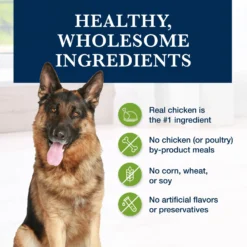 Blue Buffalo Natural Veterinary Diet GI Gastrointestinal Support Dry Dog Food 14 Blue Buffalo Natural Veterinary Diet GI Gastrointestinal Support Dry Dog Food -Pawsphoria Sales Store 147668 PT5. AC SS1800 V1695495189