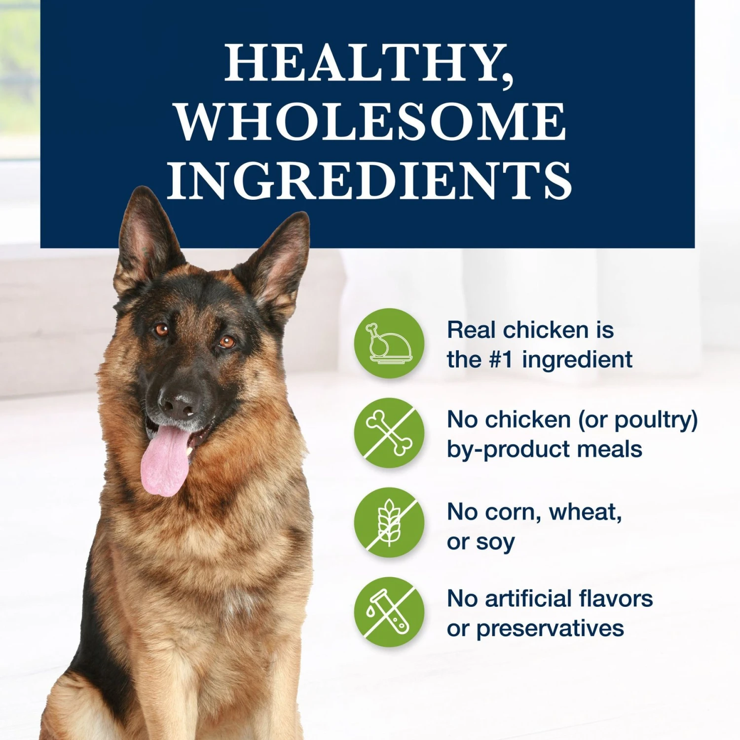 Blue Buffalo Natural Veterinary Diet GI Gastrointestinal Support Dry Dog Food 6 Blue Buffalo Natural Veterinary Diet GI Gastrointestinal Support Dry Dog Food - Image 6