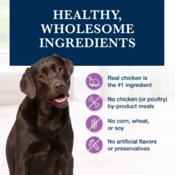 Blue Buffalo Natural Veterinary Diet W+U Weight Management + Urinary Care Chicken Wet Dog Food -Pawsphoria Sales Store 147694 PT5. AC SS1800 V1695132225