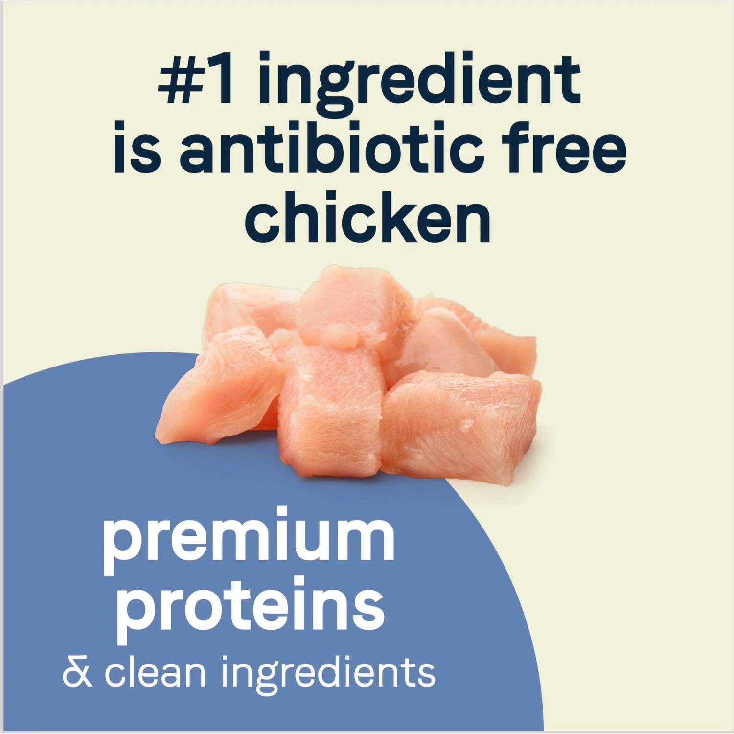 CANIDAE PURE Petite Adult Small Breed Grain-Free With Chicken Dry Dog Food 4 CANIDAE PURE Petite Adult Small Breed Grain-Free With Chicken Dry Dog Food - Image 4