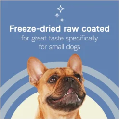 CANIDAE PURE Petite Adult Small Breed Grain-Free With Chicken Dry Dog Food 15 CANIDAE PURE Petite Adult Small Breed Grain-Free With Chicken Dry Dog Food -Pawsphoria Sales Store 148558 PT6. AC SS1800 V1673463949