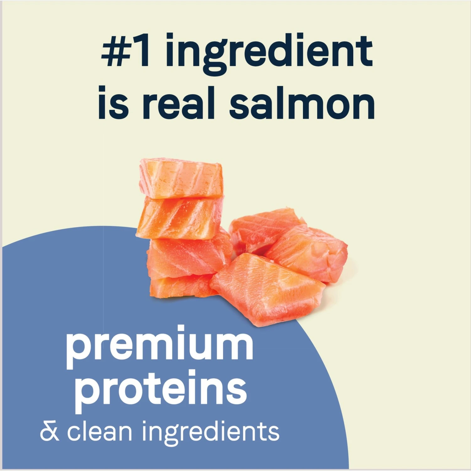 CANIDAE PURE Petite Adult Small Breed Grain-Free With Salmon Dry Dog Food 4 CANIDAE PURE Petite Adult Small Breed Grain-Free With Salmon Dry Dog Food - Image 4