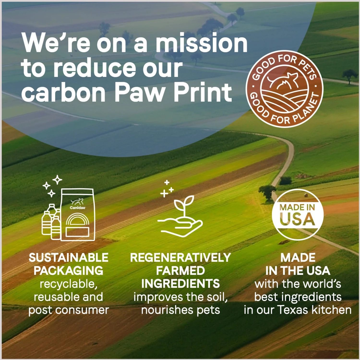 CANIDAE PURE Petite Adult Small Breed Grain-Free With Lamb Dry Dog Food 9 CANIDAE PURE Petite Adult Small Breed Grain-Free With Lamb Dry Dog Food - Image 9