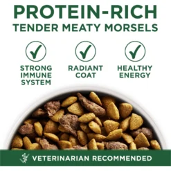 Purina ONE +Plus Adult Small Breed Lamb & Rice Formula Dry Dog Food 11 Purina ONE +Plus Adult Small Breed Lamb & Rice Formula Dry Dog Food -Pawsphoria Sales Store 148609 PT2. AC SS1800 V1686062870