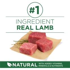 Purina ONE +Plus Adult Small Breed Lamb & Rice Formula Dry Dog Food 12 Purina ONE +Plus Adult Small Breed Lamb & Rice Formula Dry Dog Food -Pawsphoria Sales Store 148609 PT3. AC SS1800 V1686062868