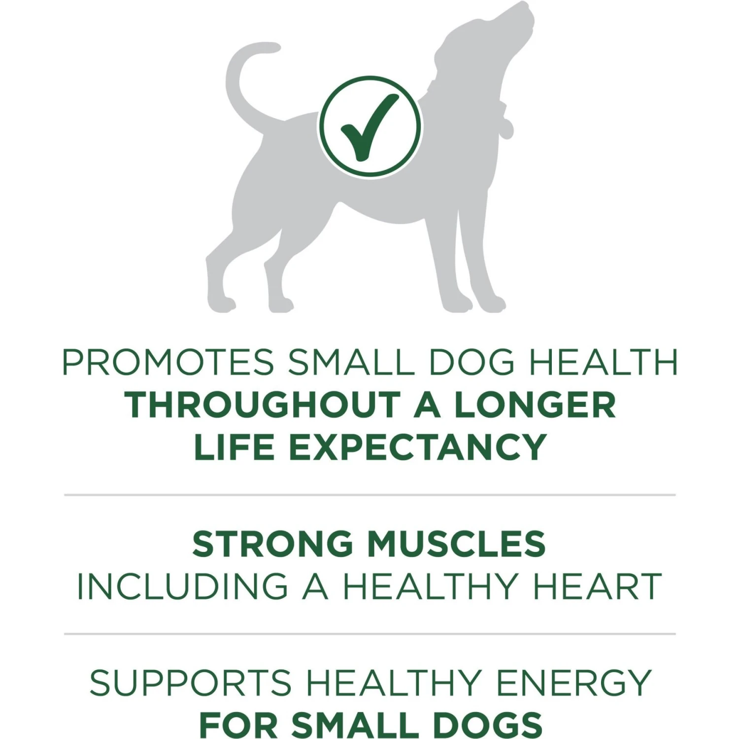 Purina ONE +Plus Adult Small Breed Lamb & Rice Formula Dry Dog Food 5 Purina ONE +Plus Adult Small Breed Lamb & Rice Formula Dry Dog Food - Image 5