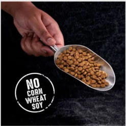 Crave High Protein Beef Adult Grain-Free Dry Dog Food -Pawsphoria Sales Store 149517 PT2. AC SS1800 V1688756932