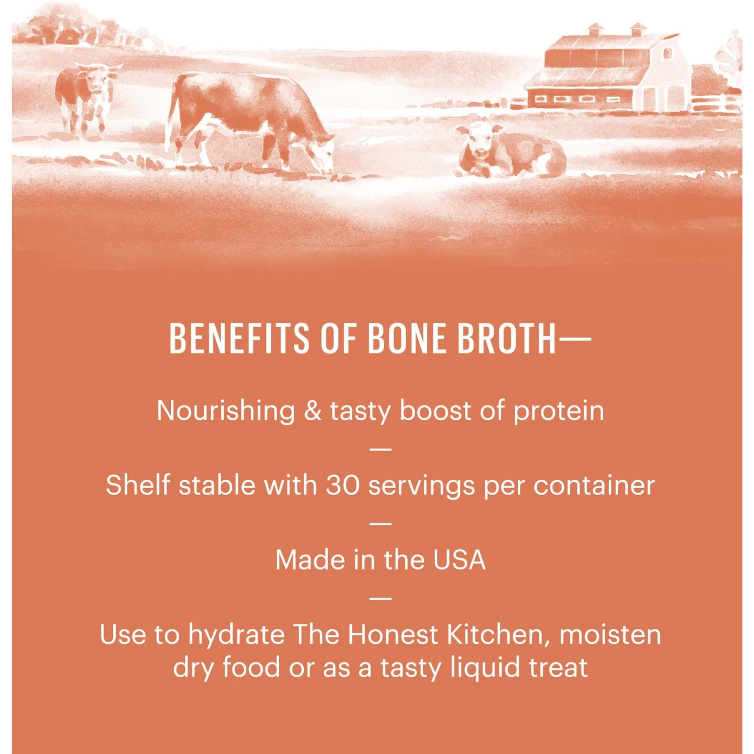 The Honest Kitchen Daily Boosters Beef Bone Broth With Turmeric For Dogs 3 The Honest Kitchen Daily Boosters Beef Bone Broth With Turmeric For Dogs - Image 3