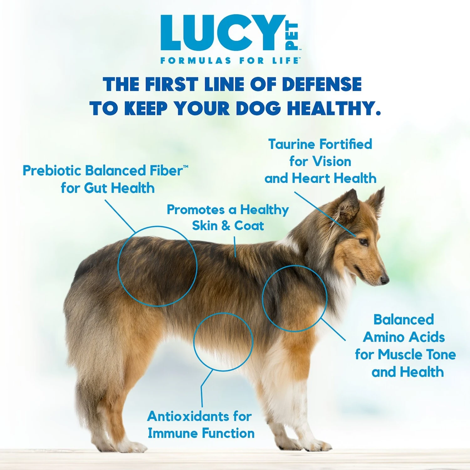 Lucy Pet Products Formulas For Life Grain-Free Duck, Pumpkin & Quinoa Formula Dry Dog Food 5 Lucy Pet Products Formulas For Life Grain-Free Duck, Pumpkin & Quinoa Formula Dry Dog Food - Image 5
