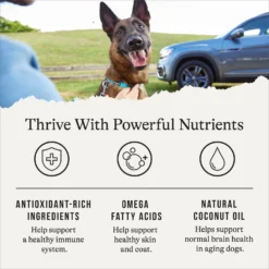 American Journey Senior Chicken & Sweet Potato Recipe Grain-Free Dry Dog Food -Pawsphoria Sales Store 151814 PT4. AC SS1800 V1665439200