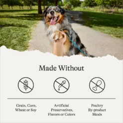 American Journey Large Breed Puppy Chicken & Sweet Potato Recipe Grain-Free Dry Dog Food 15 American Journey Large Breed Puppy Chicken & Sweet Potato Recipe Grain-Free Dry Dog Food -Pawsphoria Sales Store 151816 PT6. AC SS1800 V1680545177