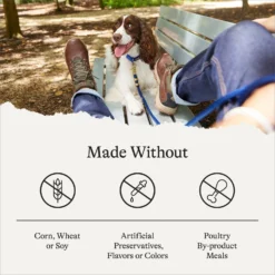 American Journey Protein & Grains Healthy Weight Chicken, Brown Rice & Vegetables Recipe Dry Dog Food -Pawsphoria Sales Store 151824 PT6. AC SS1800 V1680624916