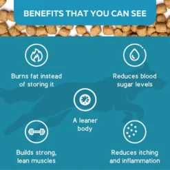 KetoNatural Ketona Chicken Recipe Adult Dry Dog Food 15 KetoNatural Ketona Chicken Recipe Adult Dry Dog Food -Pawsphoria Sales Store 152544 PT7. AC SS1800 V1669838162