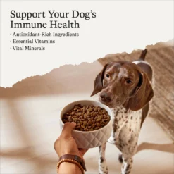 American Journey Protein & Grains Senior Chicken, Brown Rice & Vegetables Recipe Dry Dog Food -Pawsphoria Sales Store 153933 PT2. AC SS1800 V1700243655