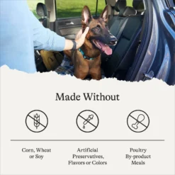 American Journey Protein & Grains Senior Chicken, Brown Rice & Vegetables Recipe Dry Dog Food -Pawsphoria Sales Store 153933 PT6. AC SS1800 V1680624916