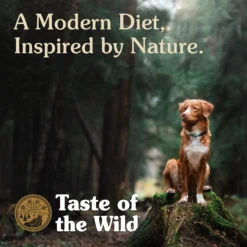 Taste Of The Wild Sierra Mountain Grain-Free Dry Dog Food -Pawsphoria Sales Store 154552 PT5. AC SS1800 V1641264400