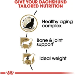 Royal Canin Breed Health Nutrition Dachshund Adult 8+ Dry Dog Food -Pawsphoria Sales Store 154778 PT4. AC SS1800 V1695218670