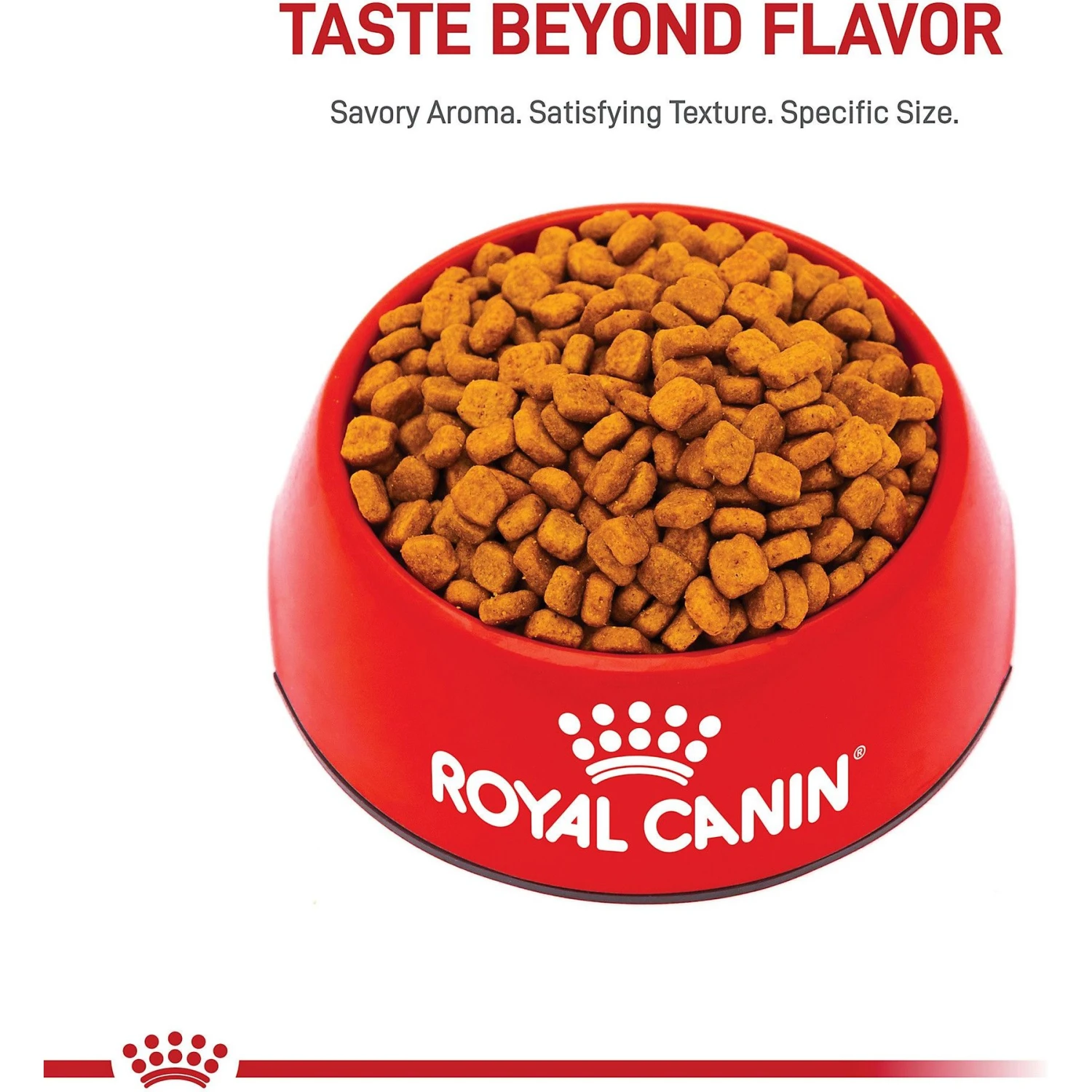 Royal Canin Breed Health Nutrition Poodle Adult 8+ Dry Dog Food 2 Royal Canin Breed Health Nutrition Poodle Adult 8+ Dry Dog Food - Image 2