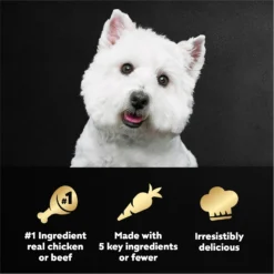 Cesar Simply Crafted Variety Pack Chicken, Carrots, Potatoes & Peas & Beef, Chicken, Purple Potatoes, Green Beans & Red Rice Adult Wet Dog Food Topper 16 Cesar Simply Crafted Variety Pack Chicken, Carrots, Potatoes & Peas & Beef, Chicken, Purple Potatoes, Green Beans & Red Rice Adult Wet Dog Food Topper -Pawsphoria Sales Store 156811 PT7. AC SS1800 V1695674578