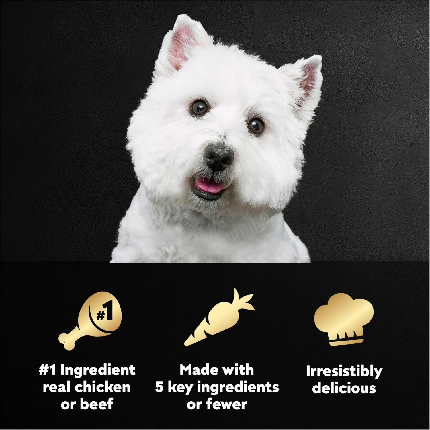 Cesar Simply Crafted Variety Pack Chicken, Carrots, Potatoes & Peas & Beef, Chicken, Purple Potatoes, Green Beans & Red Rice Adult Wet Dog Food Topper 8 Cesar Simply Crafted Variety Pack Chicken, Carrots, Potatoes & Peas & Beef, Chicken, Purple Potatoes, Green Beans & Red Rice Adult Wet Dog Food Topper - Image 8