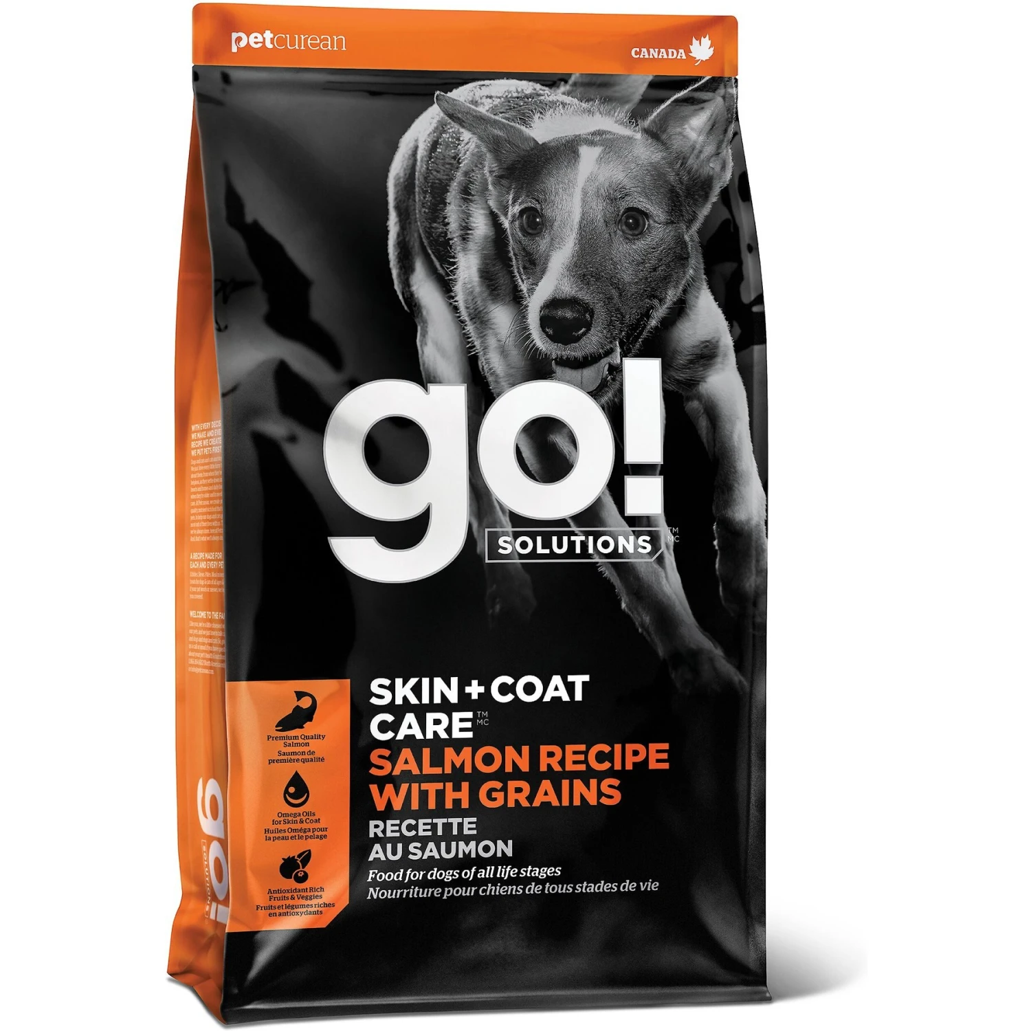 Go! Solutions Skin + Coat Care Salmon Recipe Dry Dog Food 1 Go! Solutions Skin + Coat Care Salmon Recipe Dry Dog Food