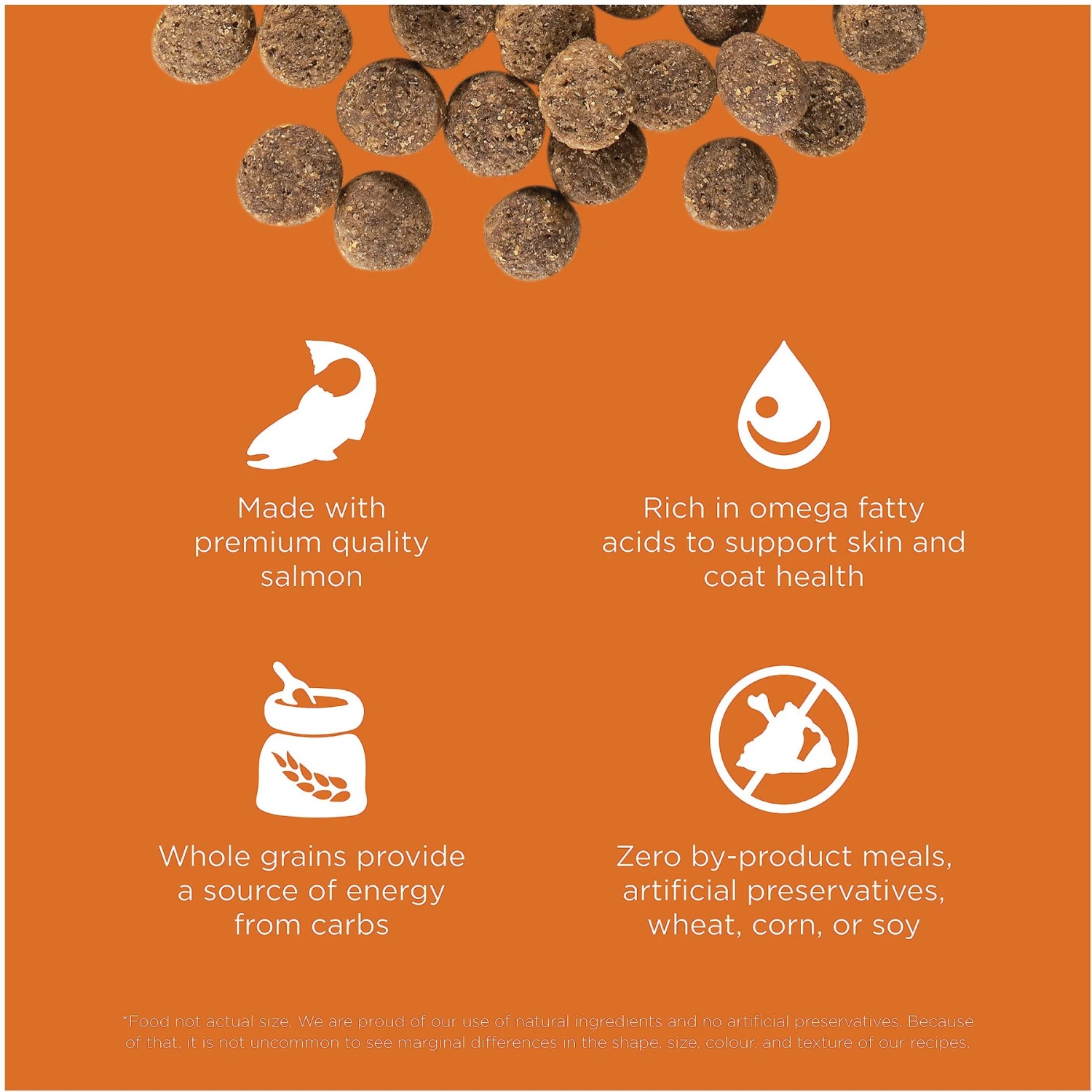 Go! Solutions Skin + Coat Care Salmon Recipe Dry Dog Food 3 Go! Solutions Skin + Coat Care Salmon Recipe Dry Dog Food - Image 3