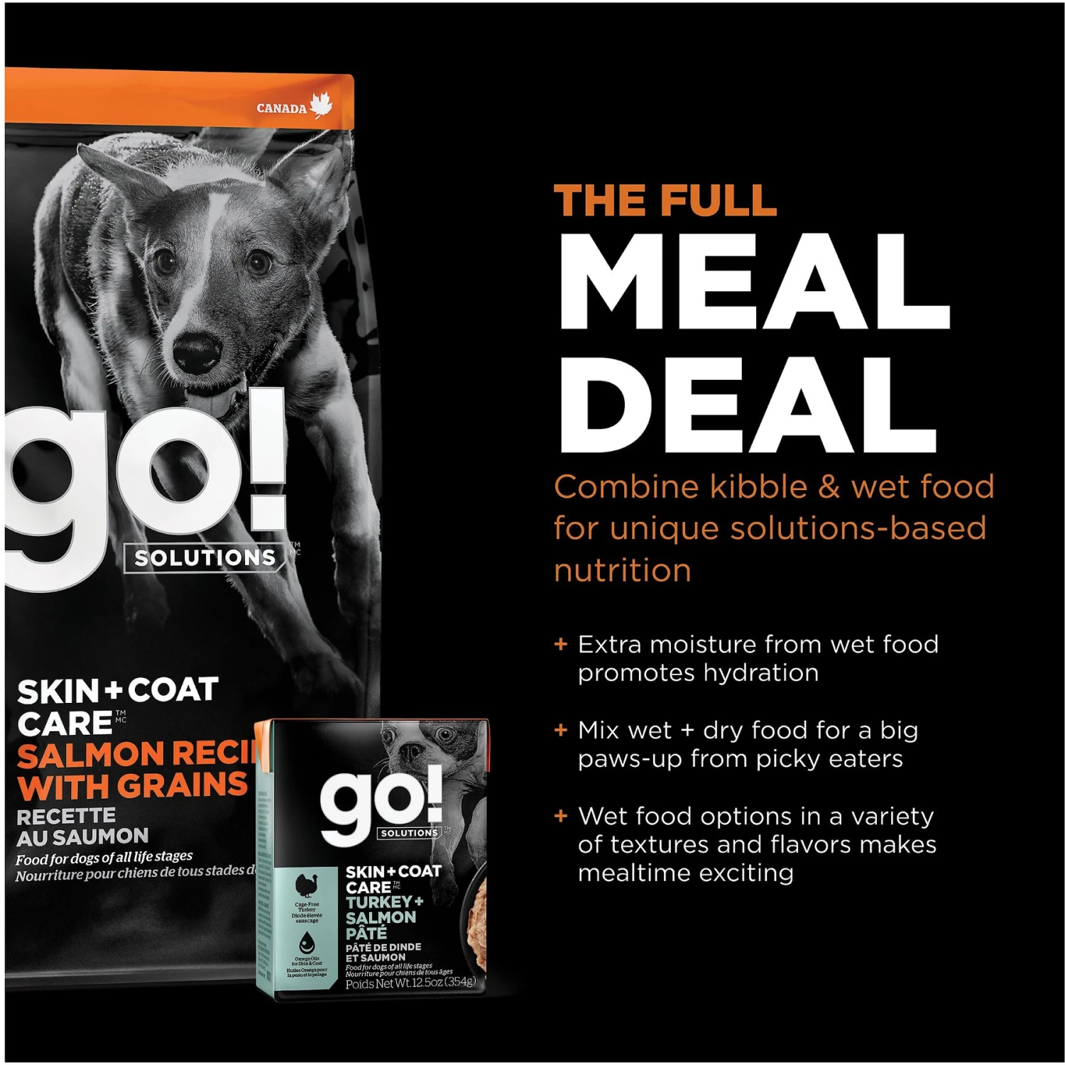 Go! Solutions Skin + Coat Care Salmon Recipe Dry Dog Food 7 Go! Solutions Skin + Coat Care Salmon Recipe Dry Dog Food - Image 7