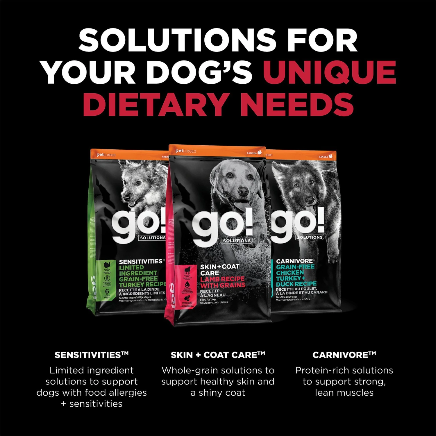Go! Solutions Skin + Coat Care Lamb Recipe Dry Dog Food 6 Go! Solutions Skin + Coat Care Lamb Recipe Dry Dog Food - Image 6